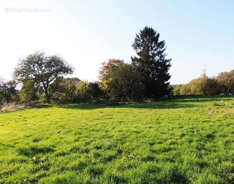 Terrain à CIREY-SUR-VEZOUZE