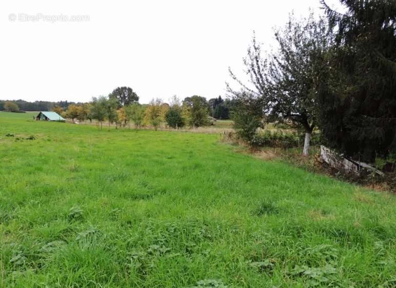 Terrain à CIREY-SUR-VEZOUZE