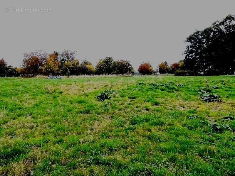 Terrain à CIREY-SUR-VEZOUZE