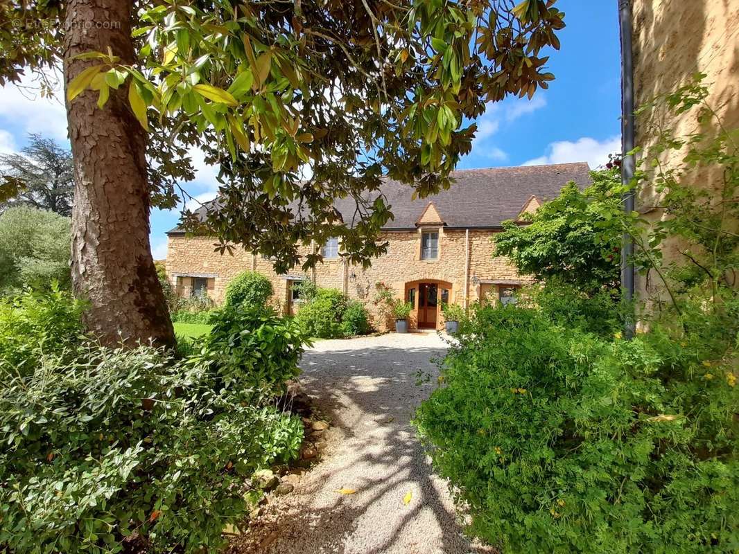 Maison à LE BUISSON-DE-CADOUIN