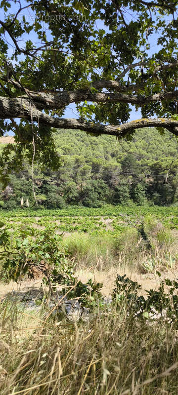 Terrain à SAINT-MAURICE-SUR-EYGUES