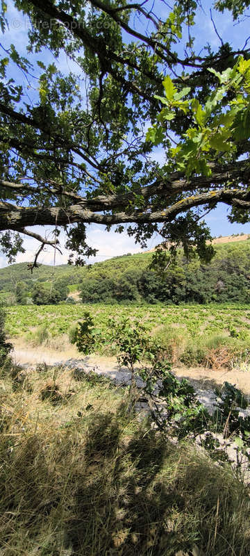 Terrain à SAINT-MAURICE-SUR-EYGUES