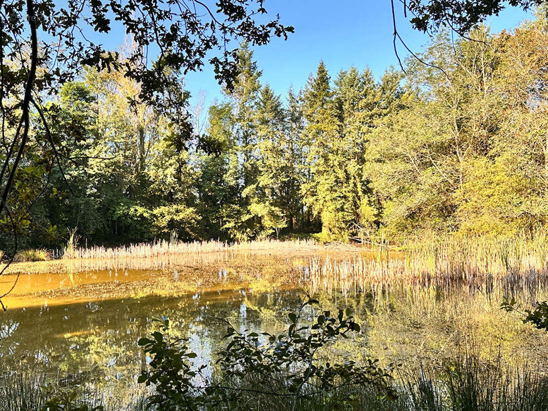 Terrain à COULLONS