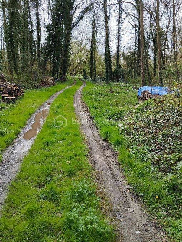 Terrain à MOREUIL