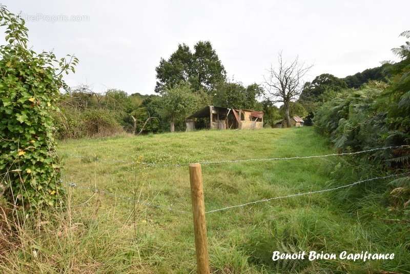 Maison à ISIGNY-LE-BUAT