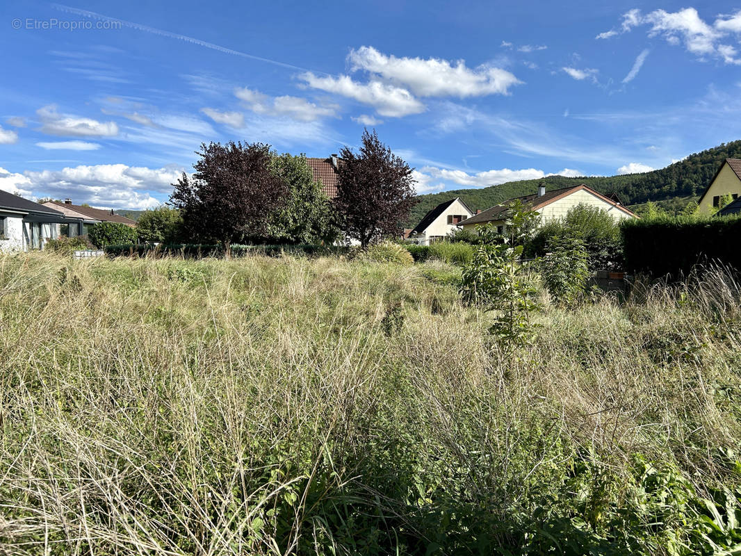 Terrain à GUNSBACH