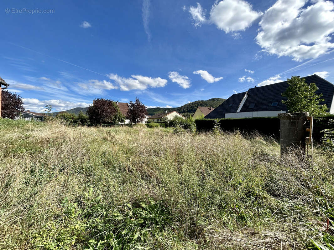 Terrain à GUNSBACH