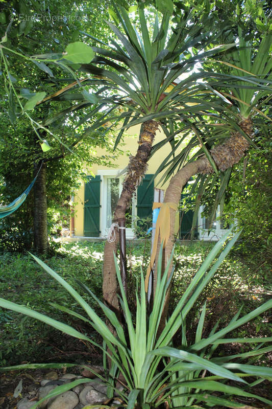 Maison à VAULX-EN-VELIN