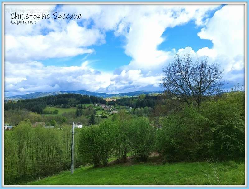 Terrain à CELLES-SUR-DUROLLE