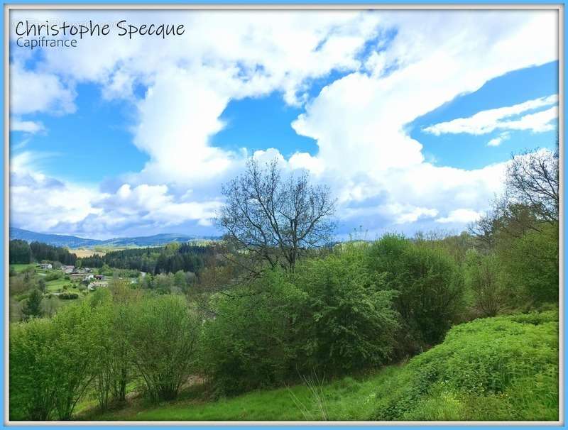 Terrain à CELLES-SUR-DUROLLE