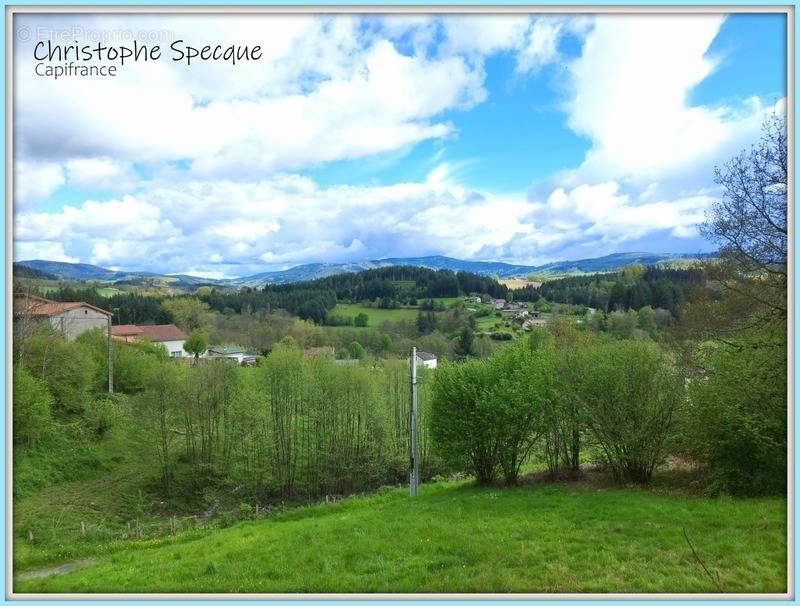 Terrain à CELLES-SUR-DUROLLE