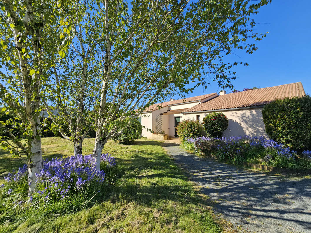 Maison à VENDRENNES