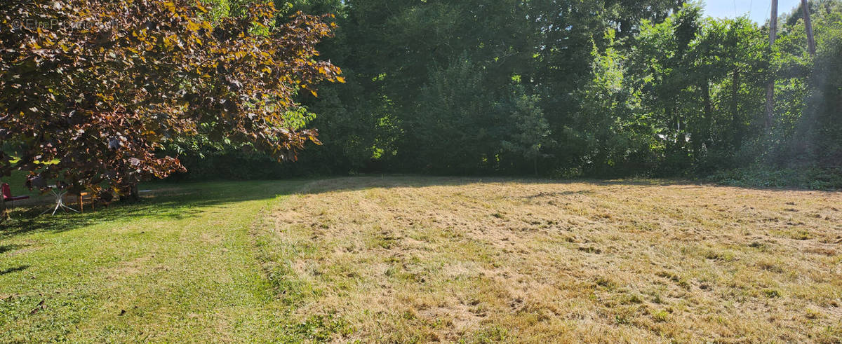 Terrain à DIVONNE-LES-BAINS