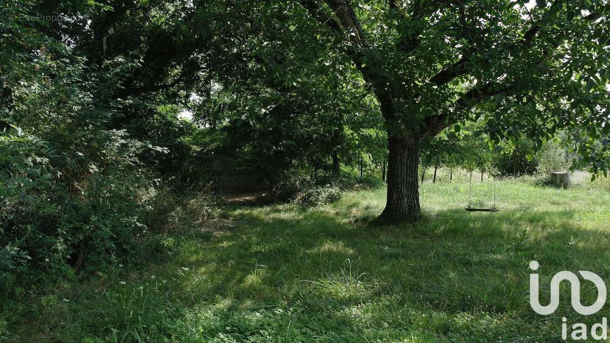 Photo 7 - Maison à EAUZE