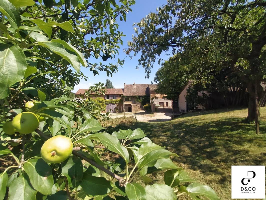 Maison à HURIGNY