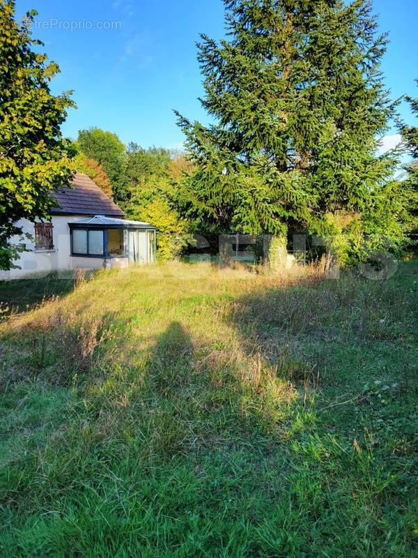 Jardin arrière - Maison à POURRAIN