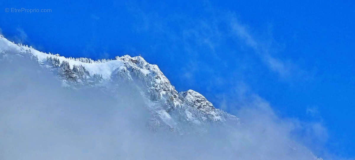 Terrain à MIEUSSY