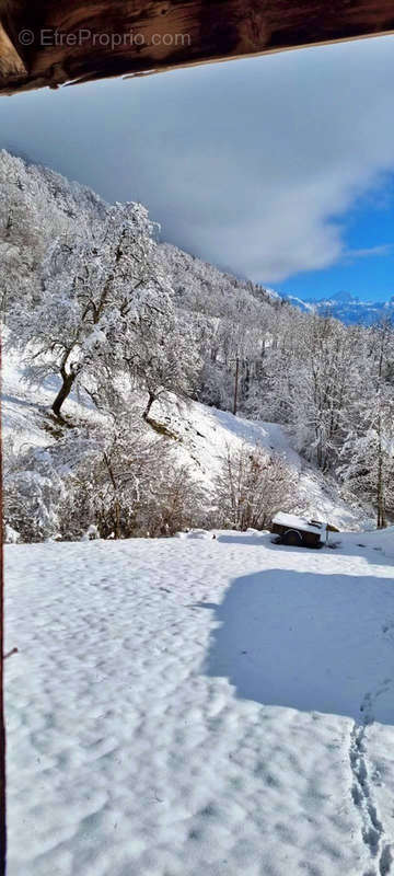 Terrain à MIEUSSY