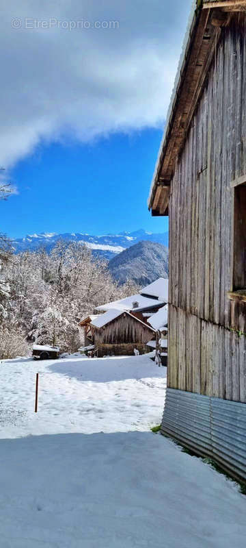 Terrain à MIEUSSY