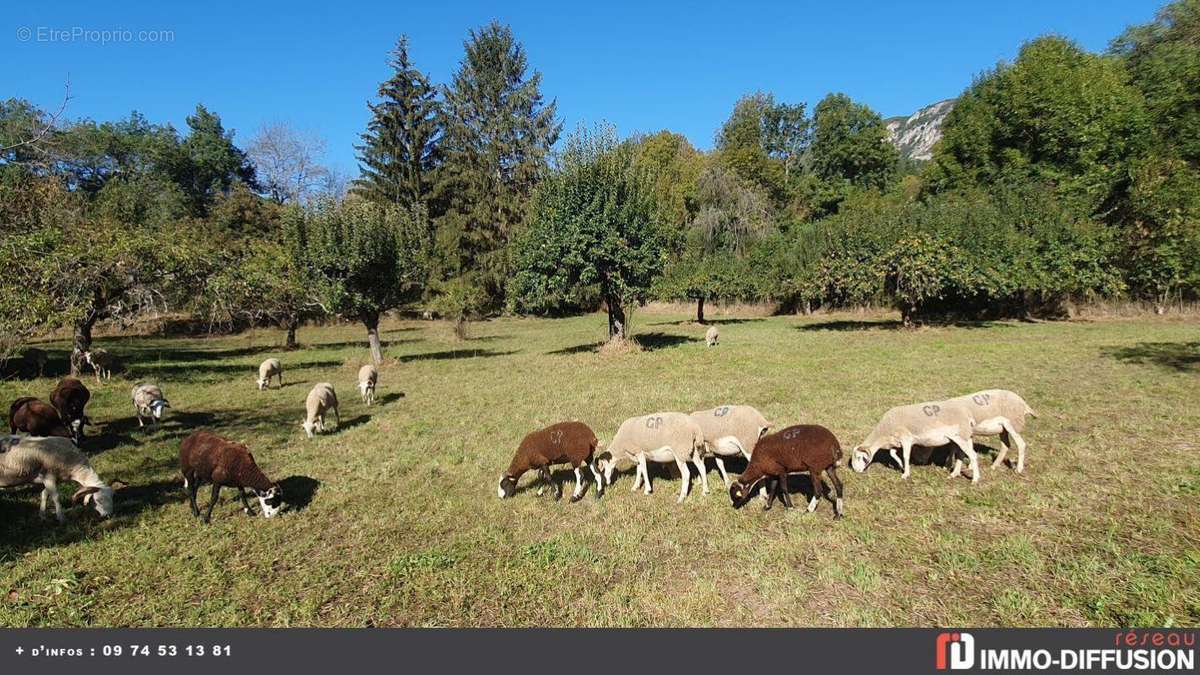 Terrain à LES CABANNES