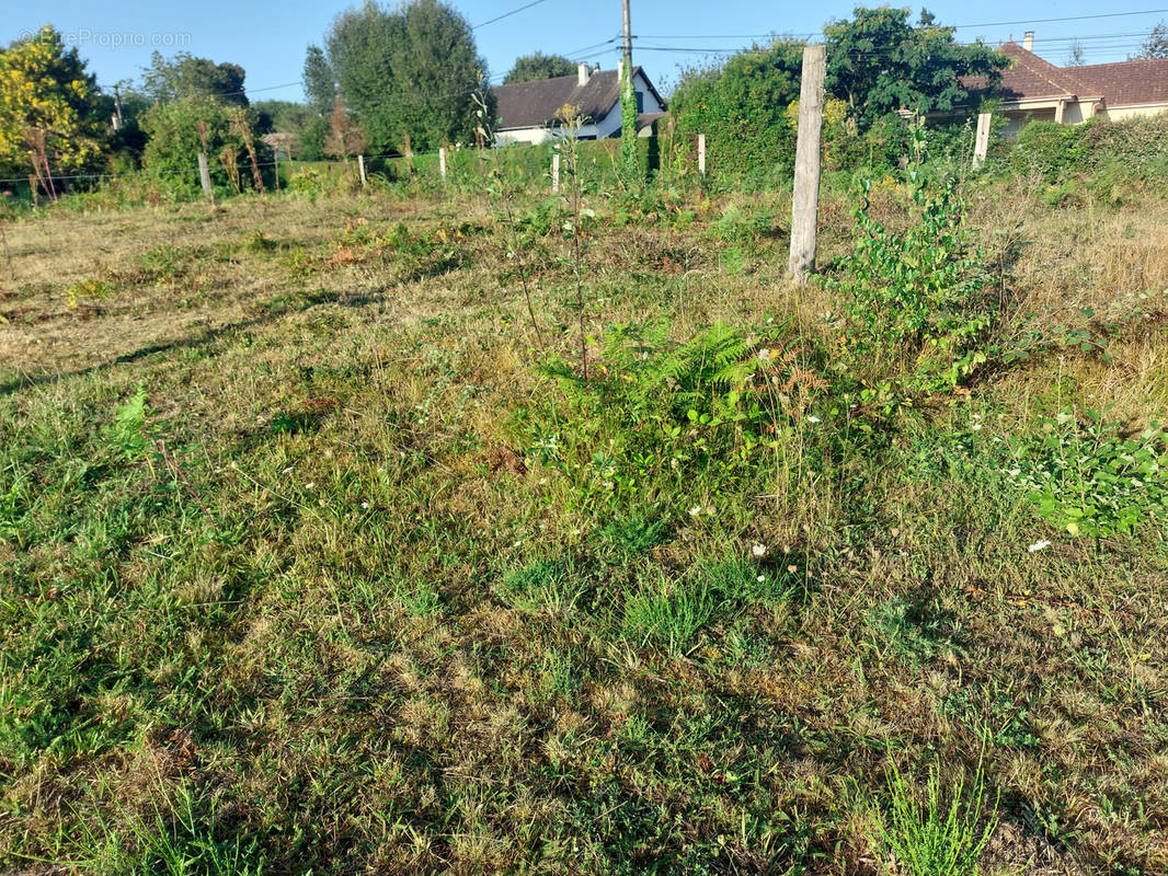 Terrain à SAINT-YRIEIX-LA-PERCHE