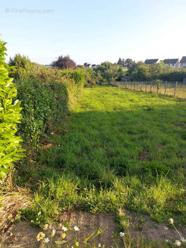 Terrain à SAINT-YRIEIX-LA-PERCHE