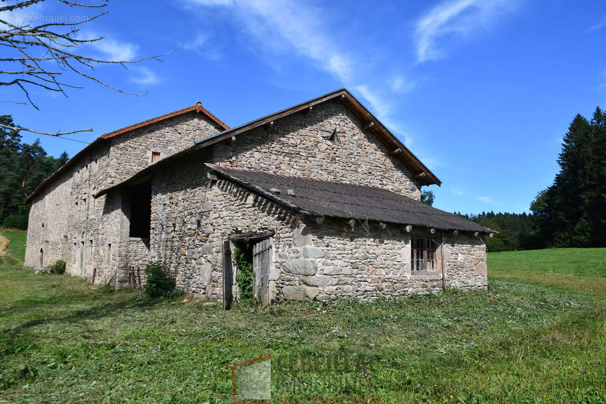 Maison à SAINT-BONNET-LE-BOURG