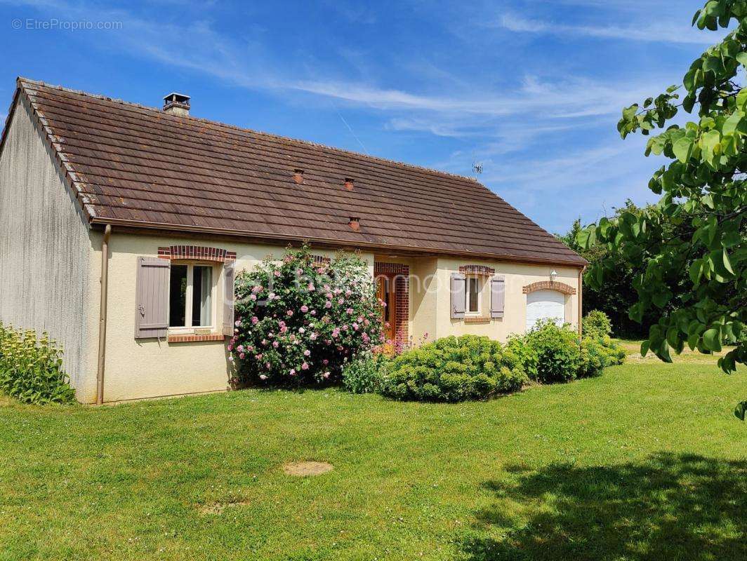 Maison à VILLENEUVE-SUR-YONNE