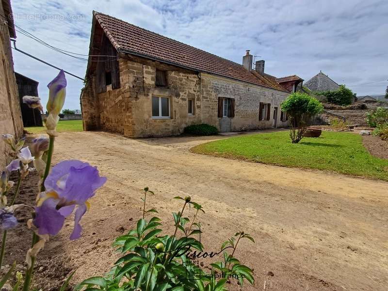 Maison à DOUE-LA-FONTAINE