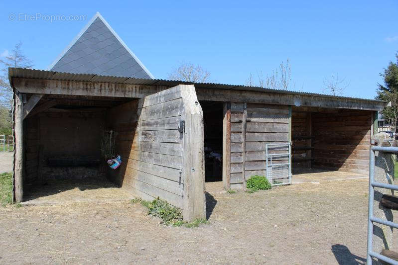 Maison à SAINT-GEORGES-DU-VIEVRE