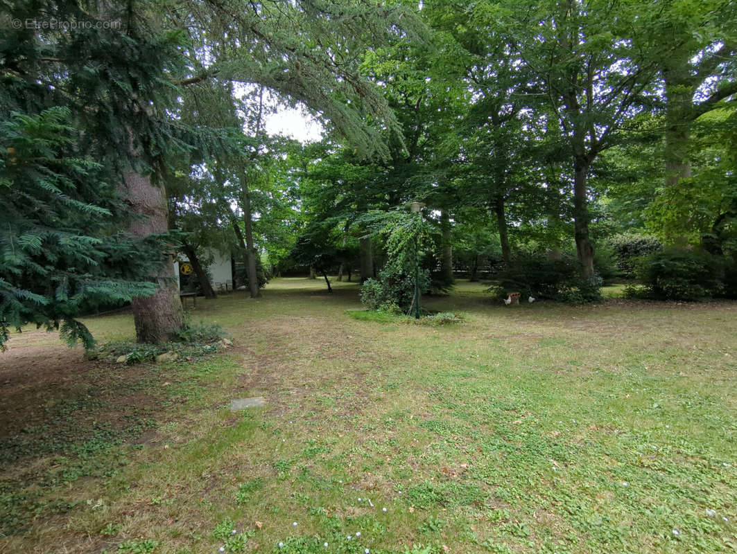 Maison à VERNOU-SUR-BRENNE