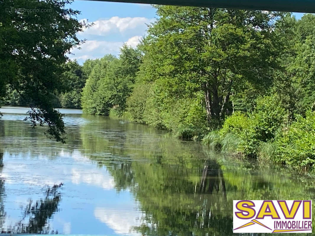 Terrain à BAZOCHES-SUR-LE-BETZ