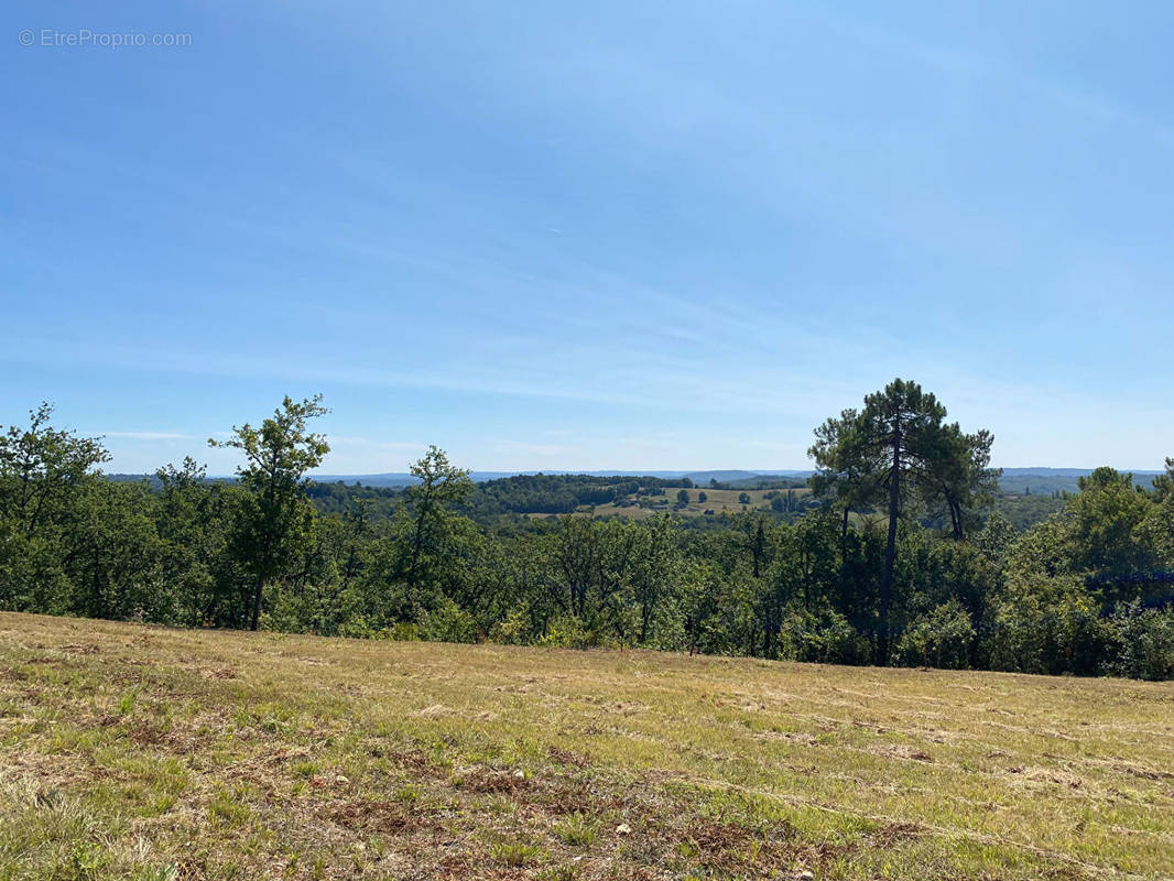 Terrain à SAINT-ANDRE-D&#039;ALLAS