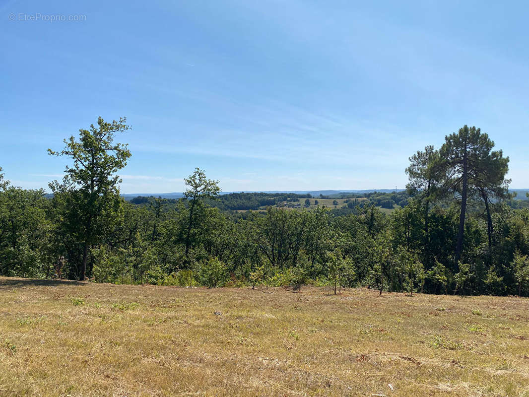 Terrain à SAINT-ANDRE-D&#039;ALLAS