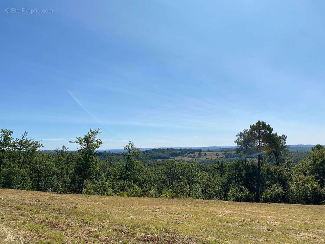 Terrain à SAINT-ANDRE-D&#039;ALLAS