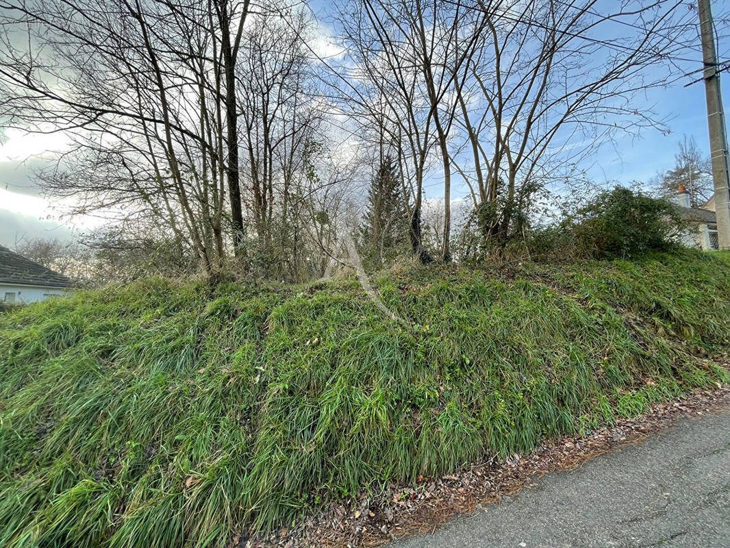 Terrain à CHISSAY-EN-TOURAINE