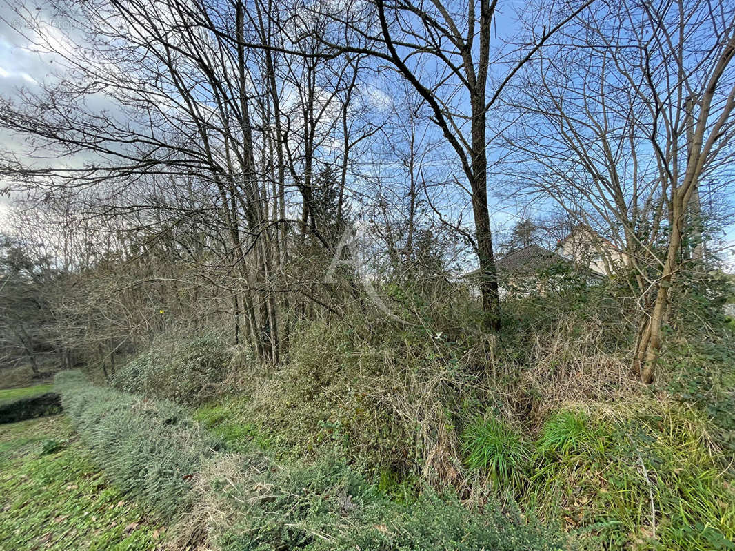 Terrain à CHISSAY-EN-TOURAINE