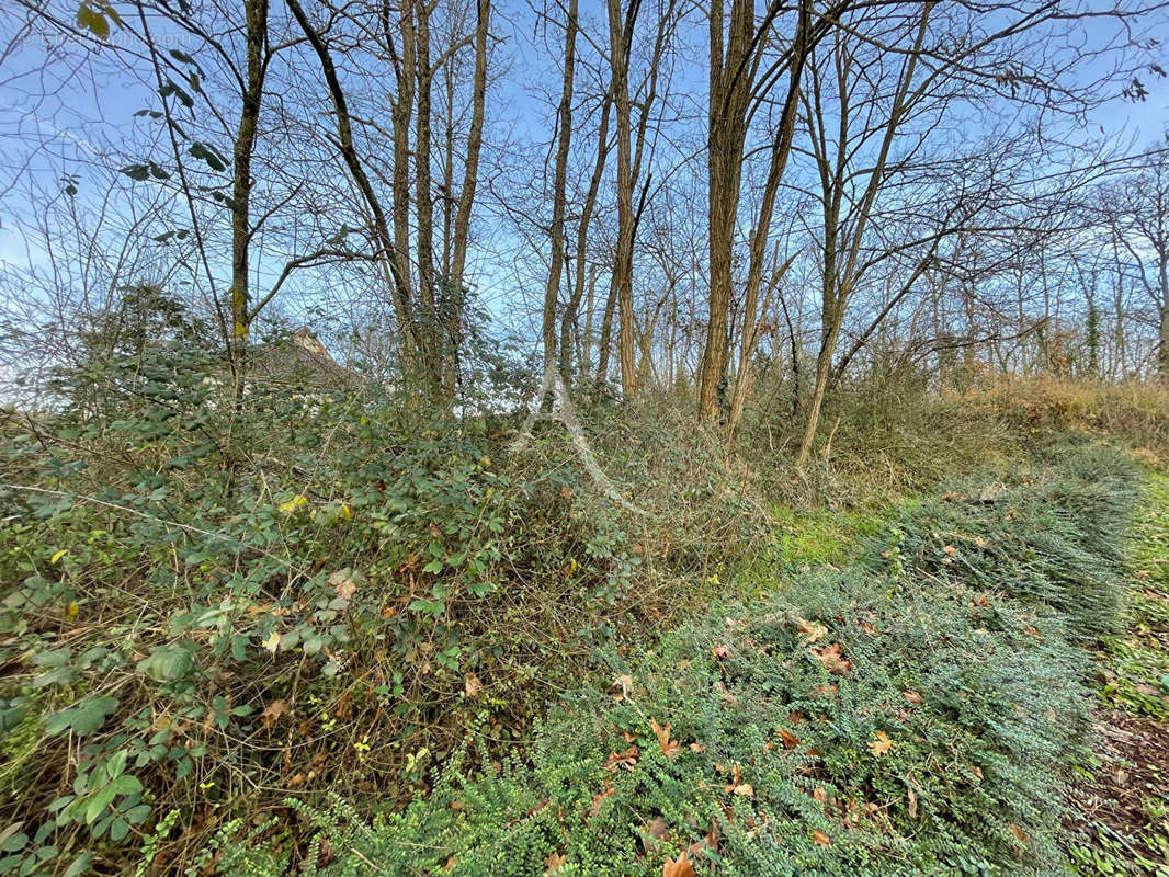 Terrain à CHISSAY-EN-TOURAINE