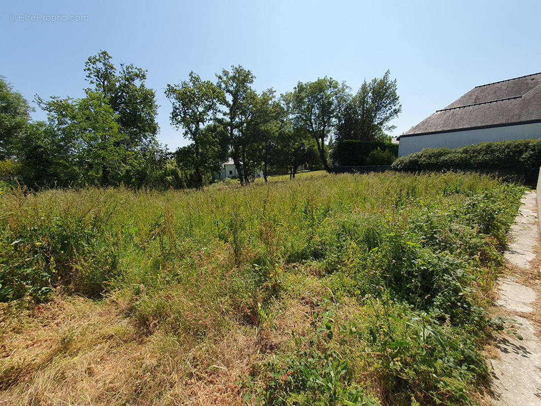 Terrain à AURAY