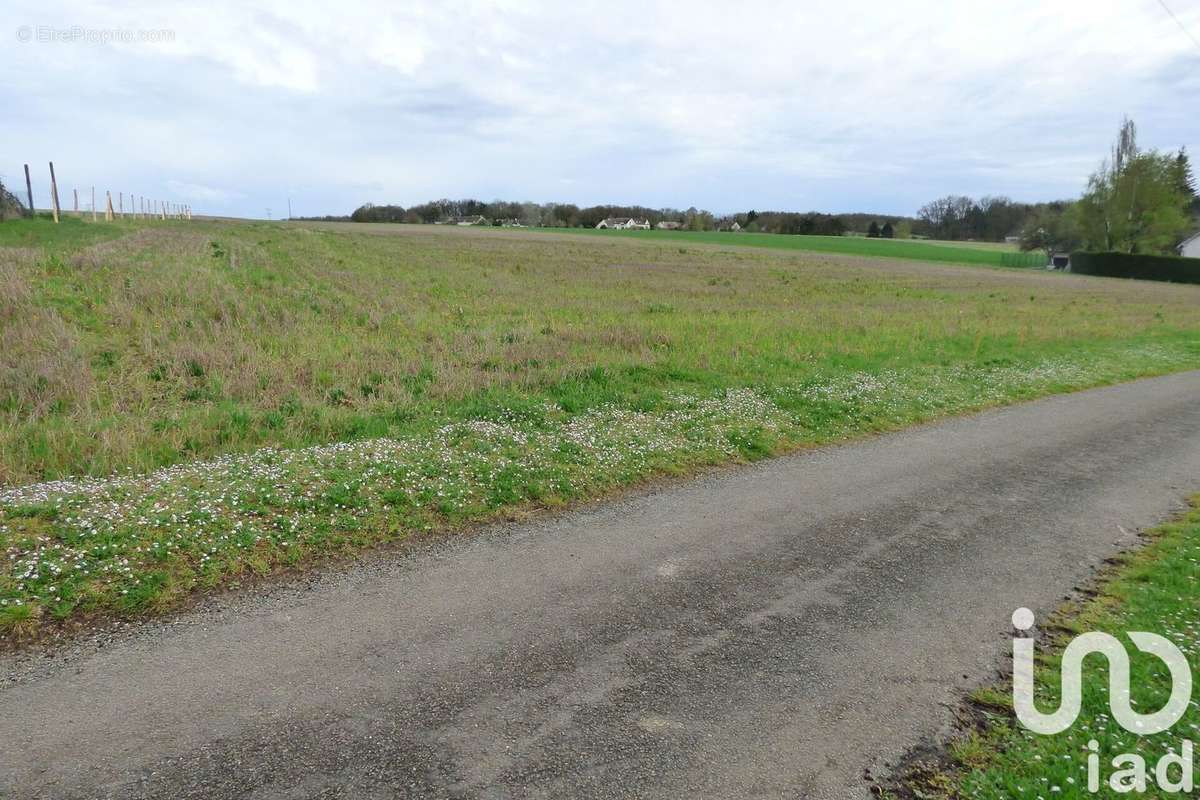 Photo 2 - Terrain à NANTEAU-SUR-LUNAIN