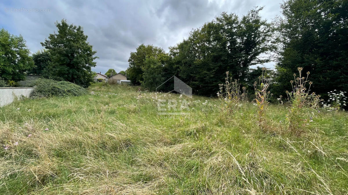 Terrain à LUNERY