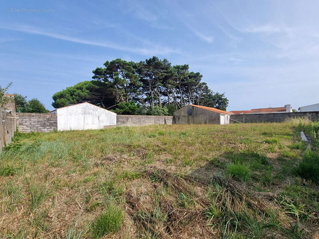 Terrain à SAINT-HILAIRE-DE-RIEZ