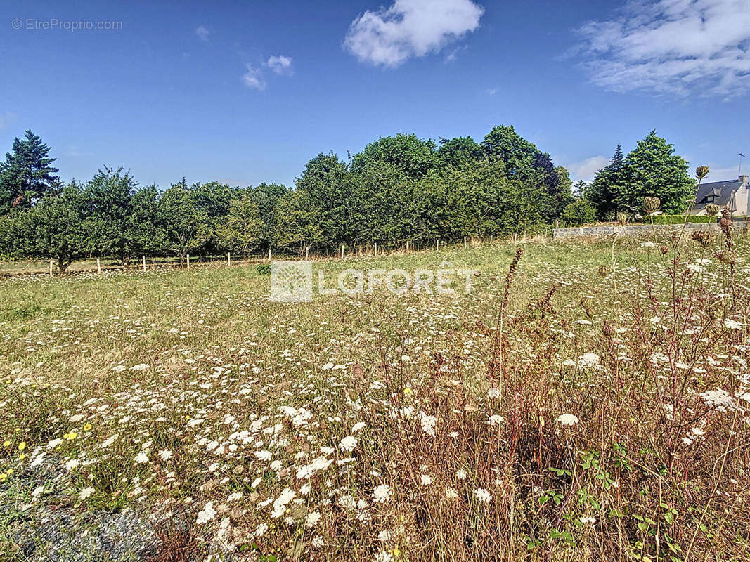 Terrain à MAURE-DE-BRETAGNE