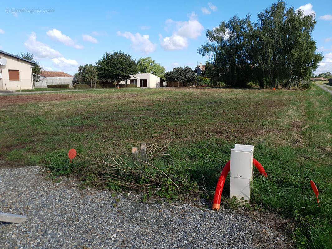 Terrain à SAINT-HILAIRE