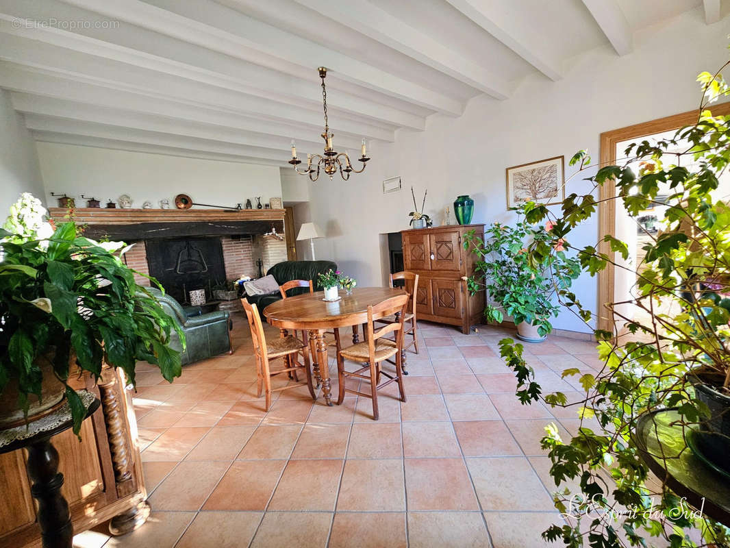 Une maison traditionnelle rénovée dans un parc  - Maison à LISLE-SUR-TARN