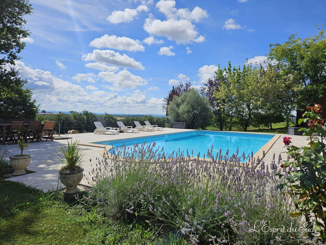 Maison à CORDES-SUR-CIEL