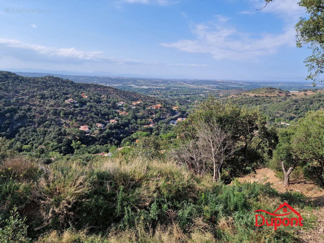 Terrain à LE BOULOU