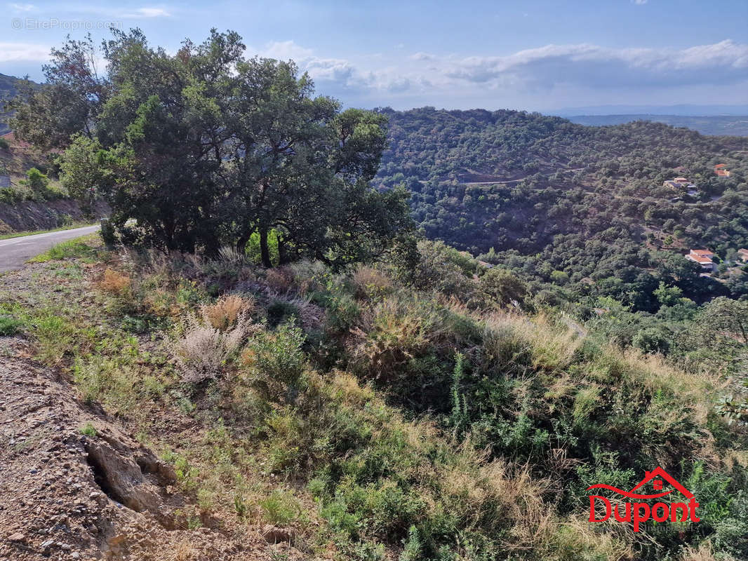 Terrain à LE BOULOU