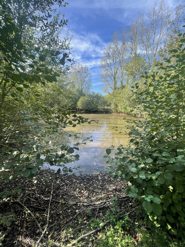 Terrain à LE CHAMP-SAINT-PERE