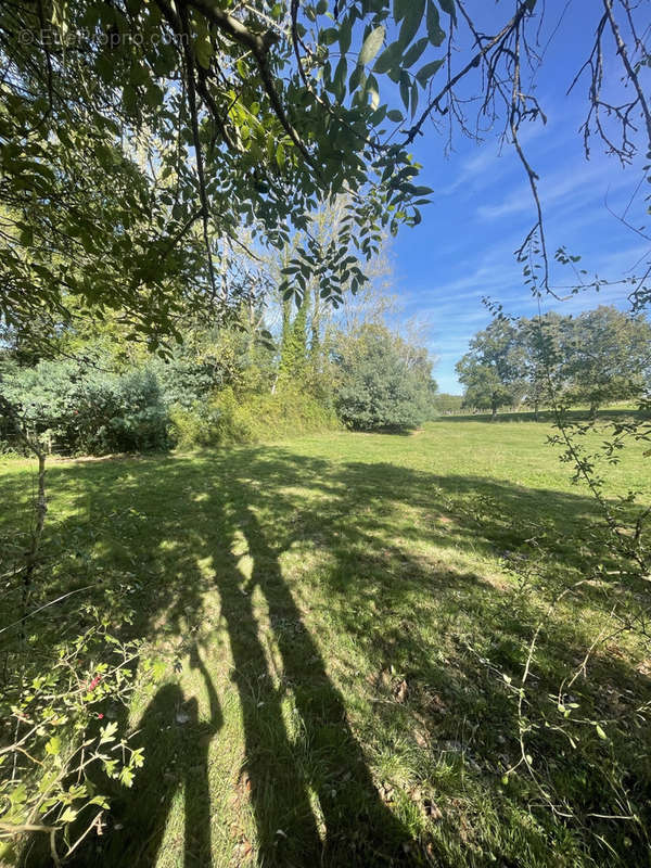 Terrain à LE CHAMP-SAINT-PERE